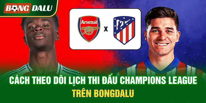 cach-theo-doi-lich-thi-dau-champions-league-tren-bongdalu
