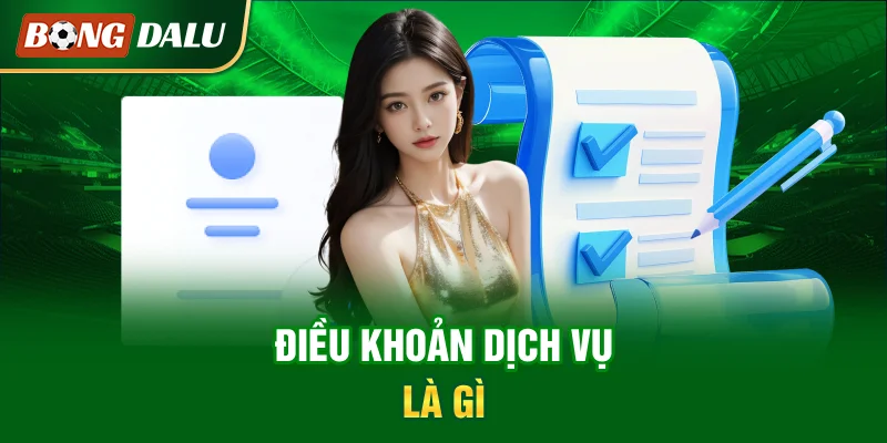 dieu-khoan-dich-vu-la-gi