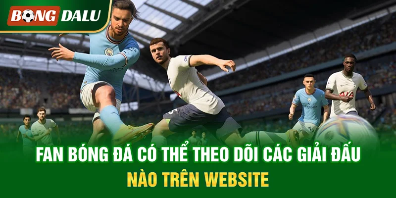 fan-bong-da-co-the-theo-doi-cac-giai-dau-nao-tren-website