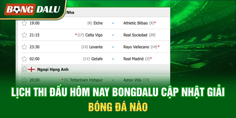 lich-thi-dau-hom-nay-bongdalu-cap-nhat-giai-bong-da-nao
