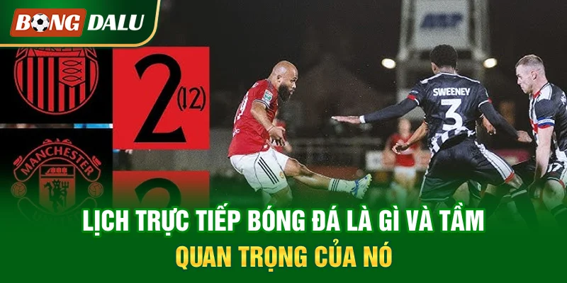lich-truc-tiep-bong-da-la-gi-va-tam-quan-trong-cua-no