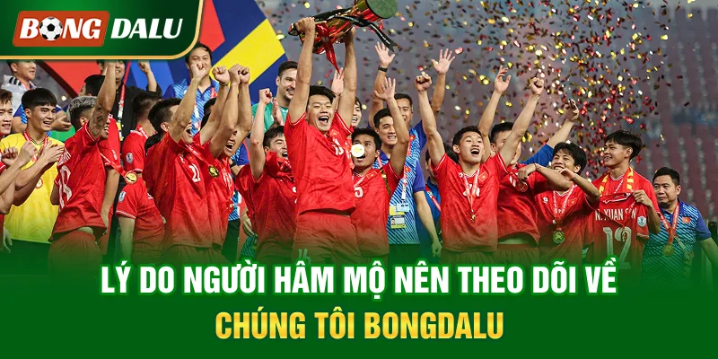 ly-do-nguoi-ham-mo-nen-theo-doi-ve-chung-toi-bongdalu