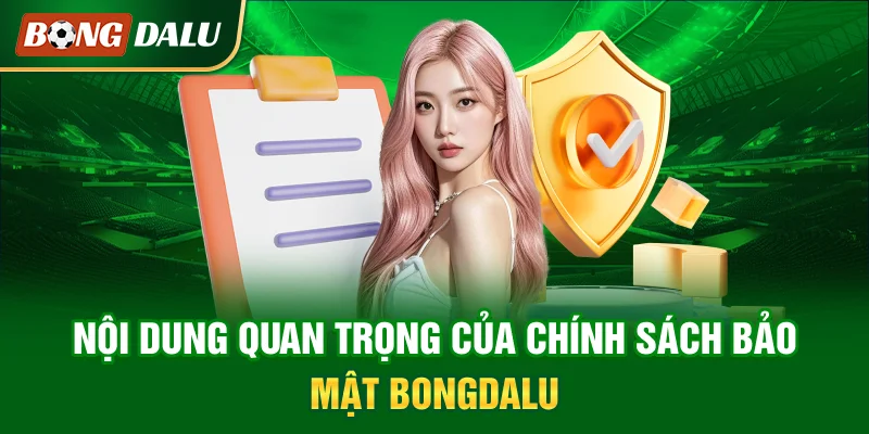 noi-dung-quan-trong-cua-chinh-sach-bao-mat-bongdalu