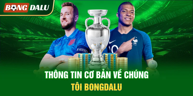thong-tin-co-ban-ve-chung-toi-bongdalu