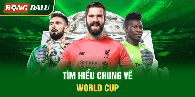 tim-hieu-chung-ve-world-cup