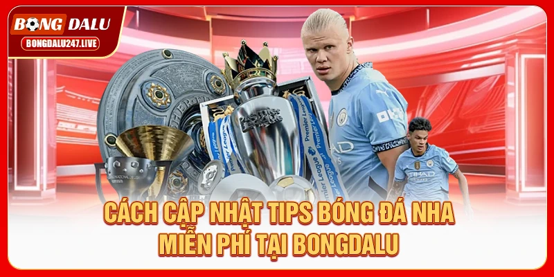 cach-cap-nhat-tips-bong-da-nha-mien-phi-tai-bongdalu