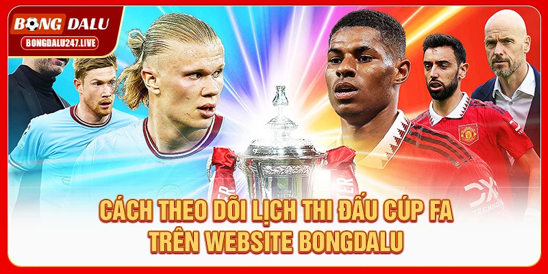 cach-theo-doi-lich-thi-dau-cup-fa-tren-website-bongdalu