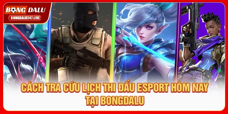 cach-tra-cuu-lich-thi-dau-esport-hom-nay-tai-bongdalu