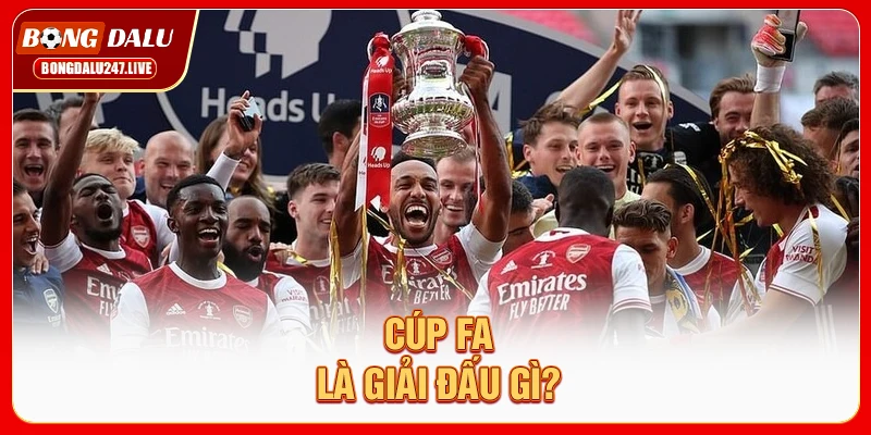 cup-fa-la-giai-dau-gi