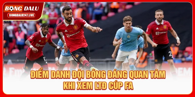 diem-danh-doi-bong-dang-quan-tam-khi-xem-ltd-cup-fa