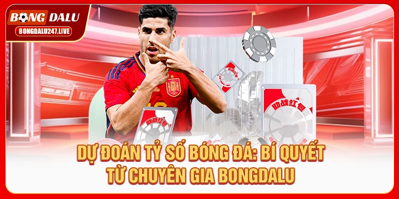 du-doan-ty-so-bong-da-bi-quyet-tu-chuyen-gia-bongdalu