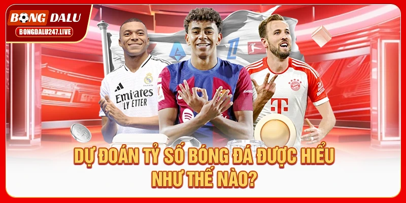 du-doan-ty-so-bong-da-duoc-hieu-nhu-the-nao