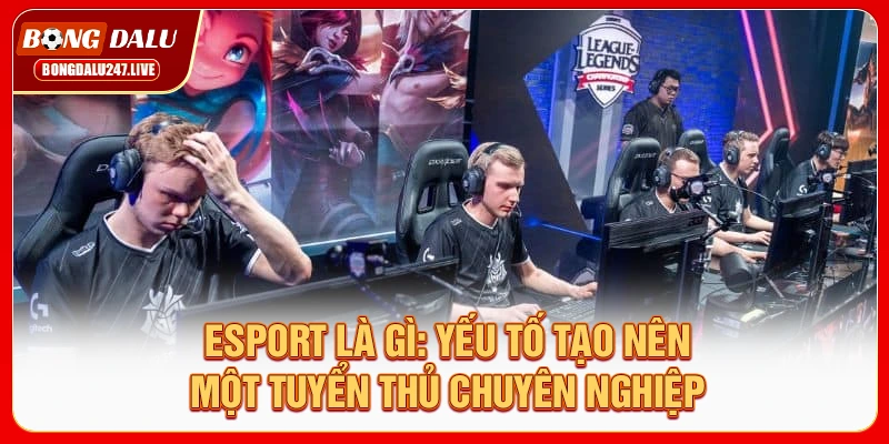 esport-la-gi-yeu-to-tao-nen-mot-tuyen-thu-chuyen-nghiep