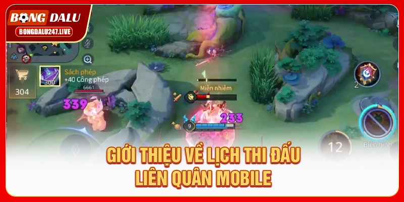 gioi-thieu-ve-lich-thi-dau-lien-quan-mobile