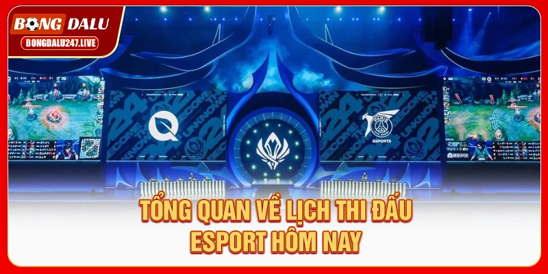 tong-quan-ve-lich-thi-dau-esport-hom-nay