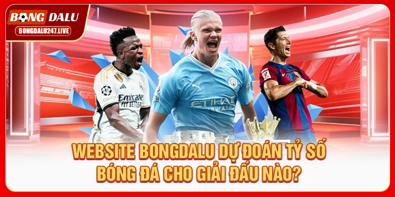 website-bongdalu-du-doan-ty-so-bong-da-cho-giai-dau-nao